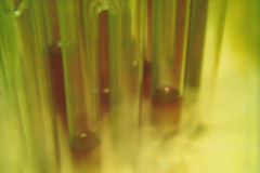 welt_4